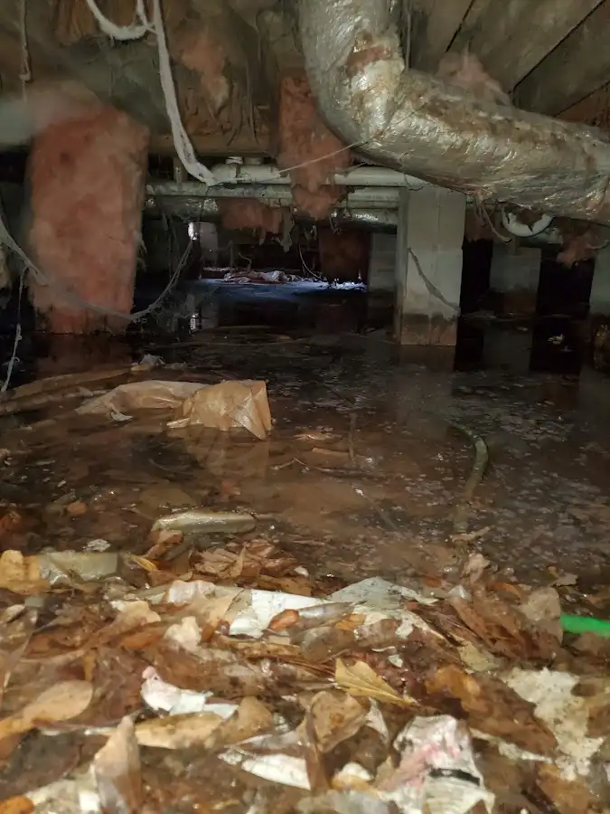 Crawl space flood assessment for Leak Detection & Repair in Somerville